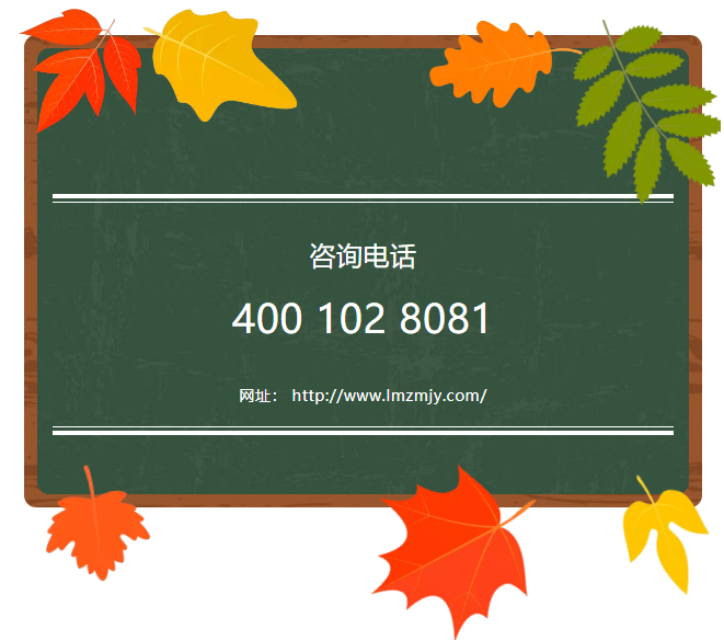 力邁中美·國(guó)際高中”常春藤百萬(wàn)獎(jiǎng)學(xué)金計(jì)劃“(圖3)