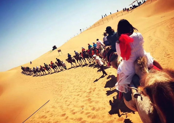 力邁中美國(guó)際學(xué)?？傂Ｈw教職工寧夏之行第三天