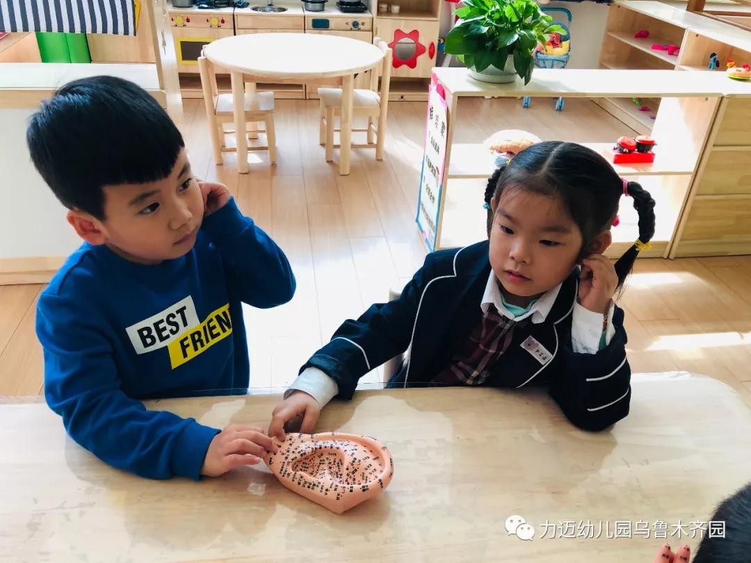 班級(jí)資訊‖快來(lái)力邁幼兒園跟我一起認(rèn)識(shí)穴位~(圖12)