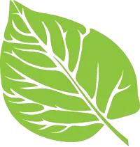 壓力，不是成年人的“專(zhuān)利”/力邁中美國(guó)際學(xué)校朝陽(yáng)區(qū)心理探究課(圖4)