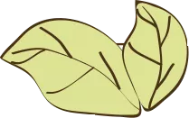 談一談力邁學(xué)校的文明宿舍(圖36)