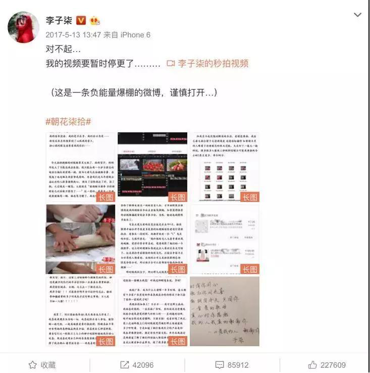 【力邁推薦】被央視點(diǎn)名表揚(yáng)，李子柒成功路上的堅(jiān)持你看到了嗎？(圖11)