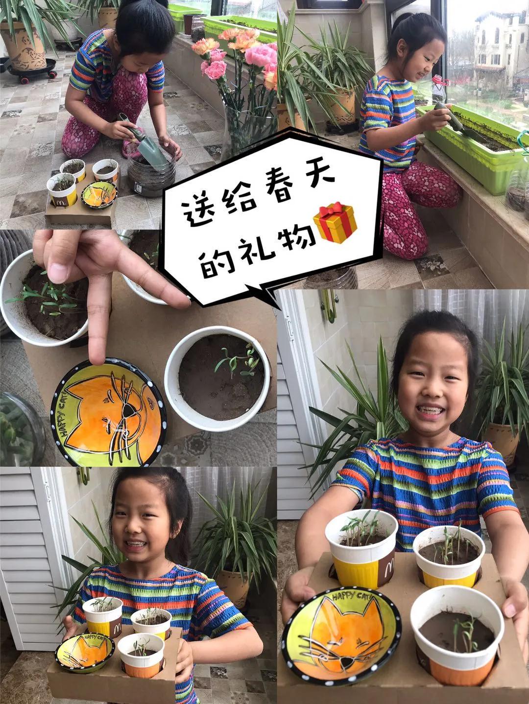 茵茵春色醉人間，幽幽情懷入家園/力邁中美學(xué)校環(huán)保教育月彩蛋(圖8)