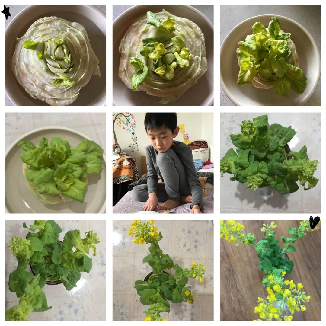 茵茵春色醉人間，幽幽情懷入家園/力邁中美學(xué)校環(huán)保教育月彩蛋(圖7)