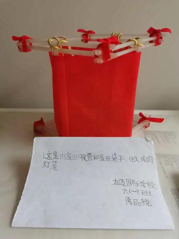 南昌力邁（國(guó)際）學(xué)校 | 地球日 | 疫情雖當(dāng)時(shí)，環(huán)保不停歇(圖10)