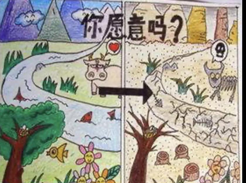 南昌力邁（國(guó)際）學(xué)校 | 地球日 | 疫情雖當(dāng)時(shí)，環(huán)保不停歇(圖14)
