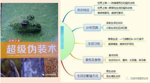 獲得16.7萬關(guān)注量的在線公開課，STEAM教學設(shè)計如何吸人眼球？(圖7)