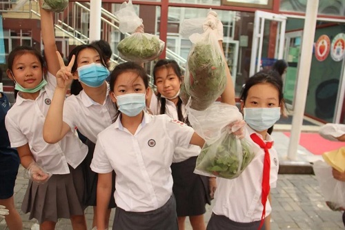 我愛這土地，因?yàn)槲倚岬搅四嗤梁筒萑~的芬芳|力邁中美國際學(xué)校勞動(dòng)教育實(shí)踐活動(dòng)(圖18)
