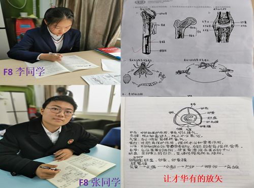 厚積薄發(fā)，大放異彩｜力邁中美國際學(xué)校中學(xué)部期中總結(jié)表彰大會(huì)暨北美學(xué)部開放日(圖8)