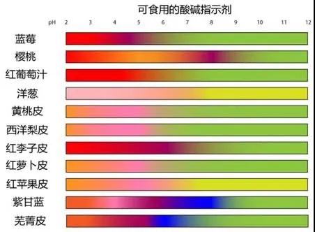 CPS Program III|感受實(shí)驗(yàn)之趣 ，走進(jìn)化學(xué)之美！(圖5)