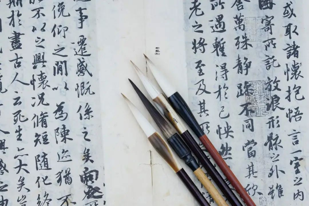 Congratulation ▏榮譽(yù)是成績也是號角，全體師生共創(chuàng)未來(圖19)